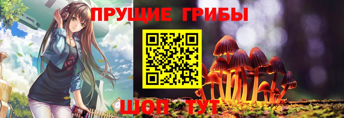 Псилоцибиновые грибы Magic Shrooms Карачаевск